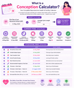 conception calculator 