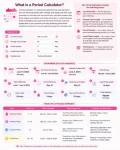 Pregnancy Term Calculator showing due date estimation, gestational age calculation, trimester timeline, conception date prediction, and pregnancy progress tracking based on last menstrual period.